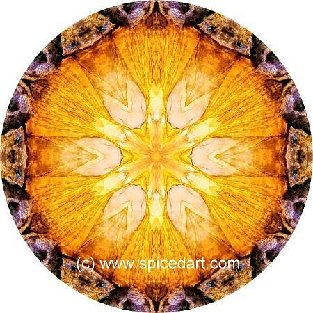 Art Mandalas - China-Alluvial Fan 04