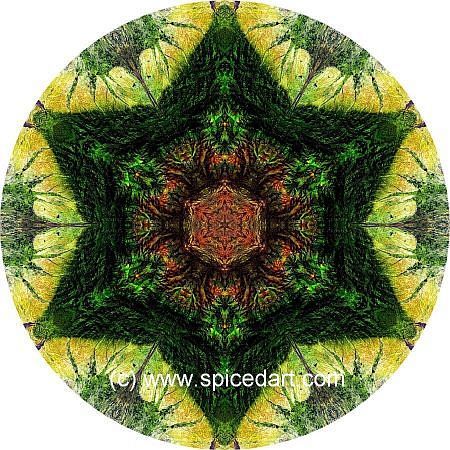 Mandala Art Print - China-Bogda Mts 07