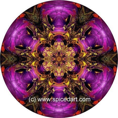 Earth Mandala Art - China-Bogda Mts 09