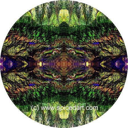 Art Mandalas - China-Bogda Mts 13