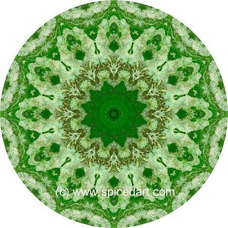 Art Mandalas - Eastern Asia 02