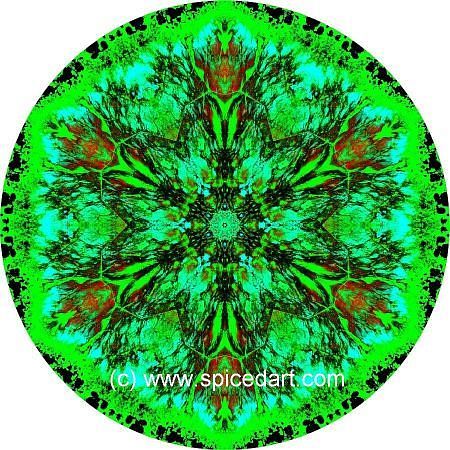 Earth Print - Florida Everglades 01