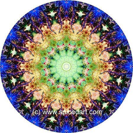 Mandala Art Print - Ghadamis River 05