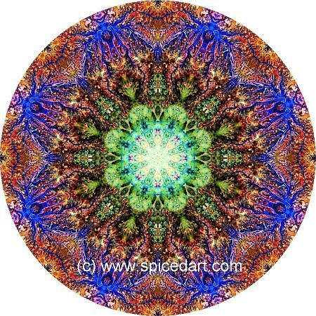 Mandala Art Print - Ghadamis River 14