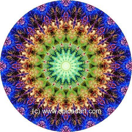Mandala Art Print - Ghadamis River 20