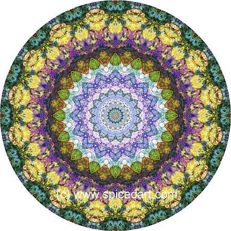 Mandala Art Print - Great Sandy Desert 03
