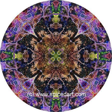 Earth Mandala Art - Great Sandy Desert 08