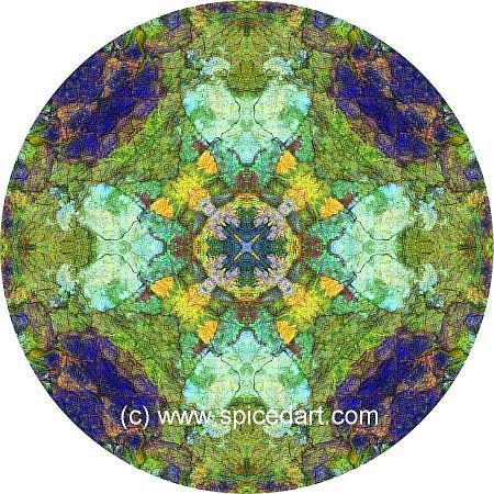Mandala Art Print - Great Sandy Desert 11
