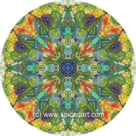 Robert Schmidt Art - Great Sandy Desert 15