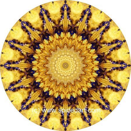 Gaia Mandala Art - Iran-Salt Desert 05