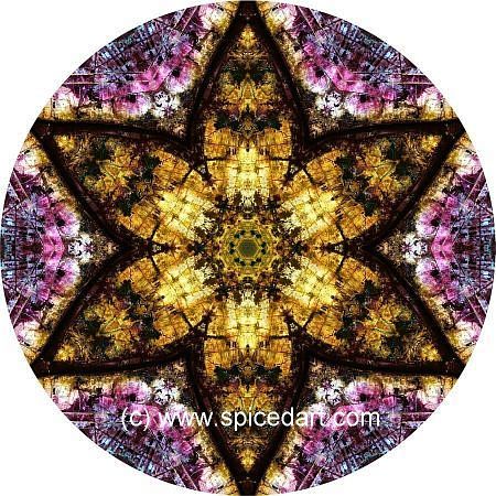 Meditation Mandala - Iraqi Emplacement 03