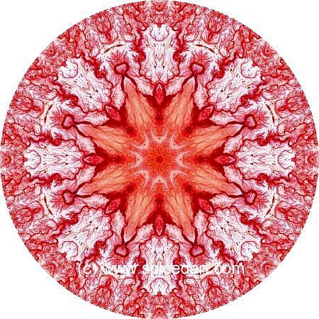 Mandala Art Print - Jordan-Wadis 02
