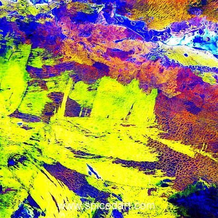 Robert Schmidt Art - Lake Amadeus Source Image