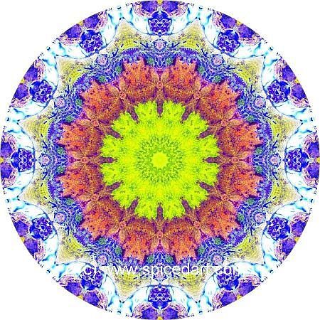 Meditation Mandala - Lake Amadeus 01