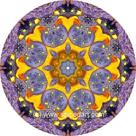 Earth Art Print - Lake Carnegie 02