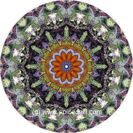 Mandala Art Print - Lake Carnegie 04