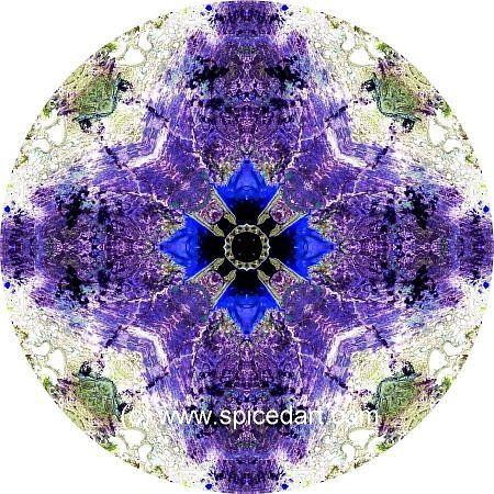 Mandala Art Print - Lake Carnegie 05
