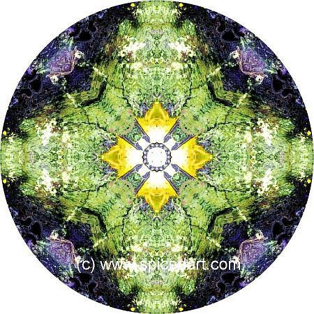 Mandala Art Print - Lake Carnegie 06