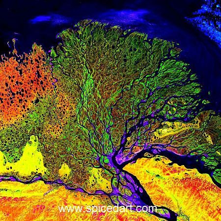Robert Schmidt Art - Lena River Delta Source Image