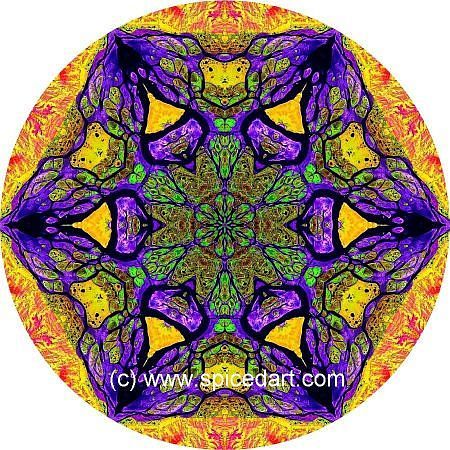 Meditation Mandala - Lena River Delta 01