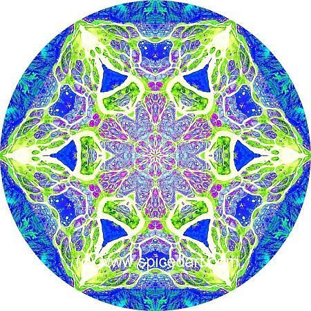 Mandala Art Print - Lena River Delta 02