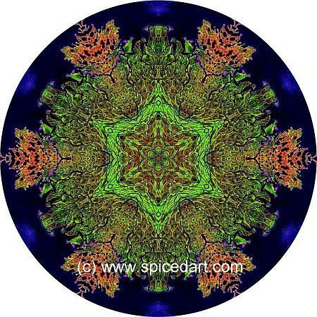 Mandala Art Print - Lena River Delta 03