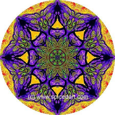 Mandala Art Print - Lena River Delta 07