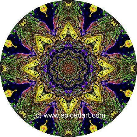 Mandala Art Print - Lena River Delta 09