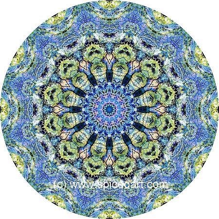 Mandala Art Print - MacDonnell Ranges 01