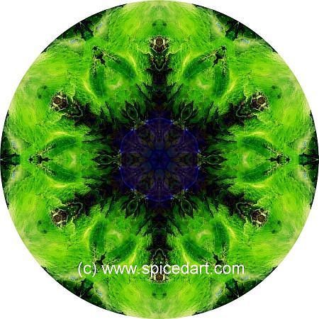 Mandala Art Print - Mauritania Formation 01