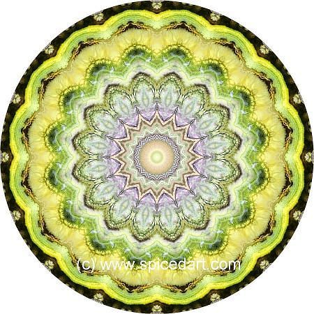 Meditation Mandala - Mauritania Formation 04