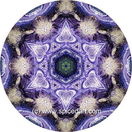Gaia Mandala Art - Mexico-Coahuila 04