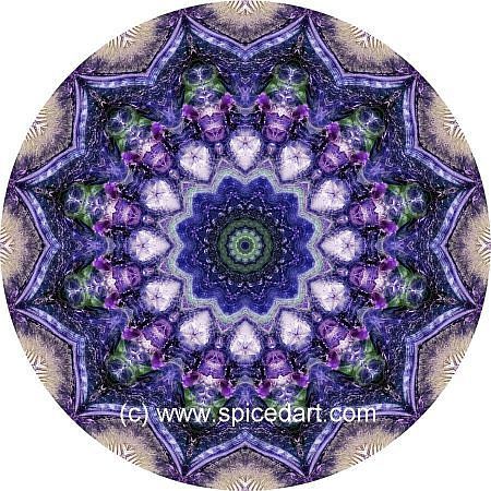 Mandala Art Print - Mexico-Coahuila 08