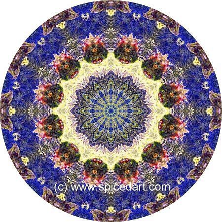 Mandala Art Print - Morocco-Atlas Mts 06