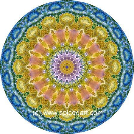 Gaia Mandala Art - Morocco-Atlas Mts 11