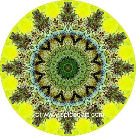 Earth Mandala Art - Namib Desert-Massif 05