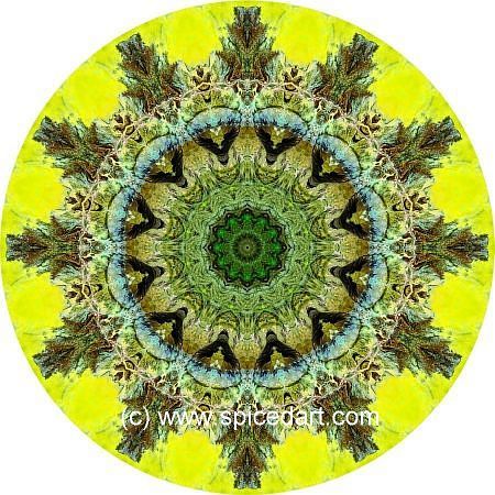 Earth Mandala Art - Namib Desert-Massif 05