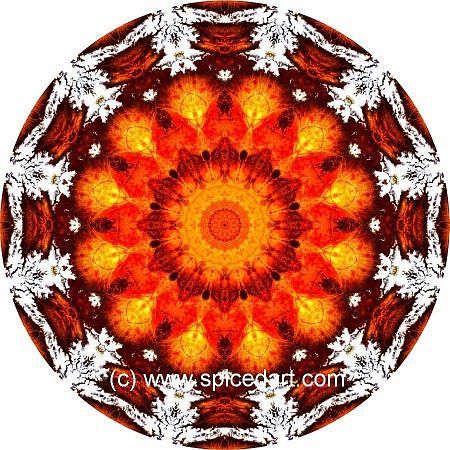Mandala Art Print - North America 05