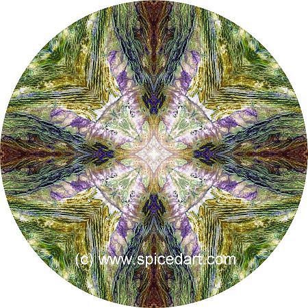 Art Mandalas - Pakistan-Sulaiman Mts 07