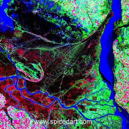 Mandala Art Print - Parana River Delta Source Image