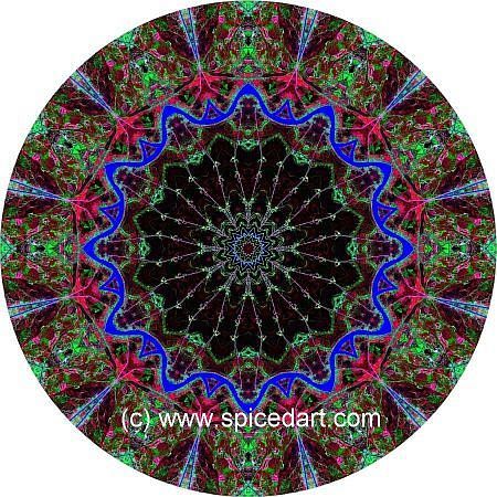 Earth Mandala Art - Parana River Delta 01