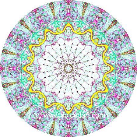Mandala Art Print - Parana River Delta 02