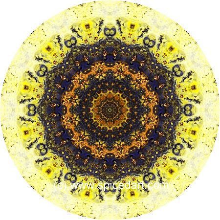 Mandala Art Print - Pinacate Volcano Field 01