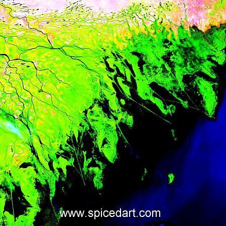 Kaleidoscape Art Print - Volga River Delta Source Image