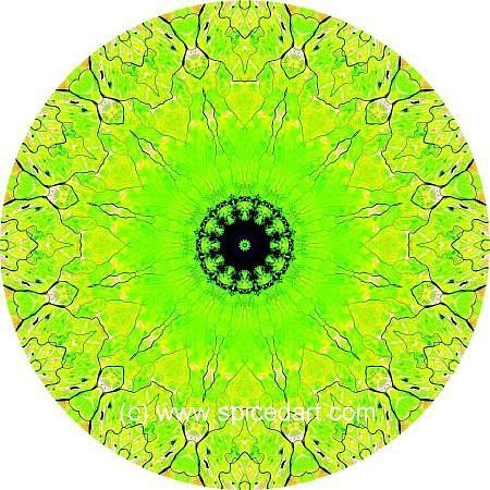 Earth Mandala Art - Volga River Delta 01