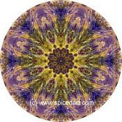 Mandala Art Print Ancient Lava Field 01