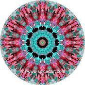 Mandala Art Print Bolivia-Deforestation 01