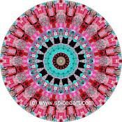 Mandala Art Print Bolivia-Deforestation 03