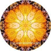 Mandala Art Print China-Alluvial Fan 04