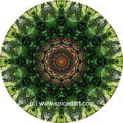 Mandala Art Print China-Bogda Mts 01